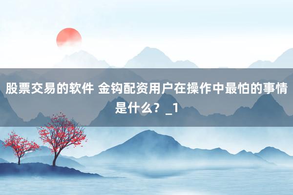股票交易的软件 金钩配资用户在操作中最怕的事情是什么？_1