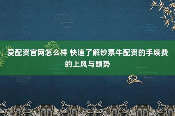 爱配资官网怎么样 快速了解钞票牛配资的手续费的上风与颓势